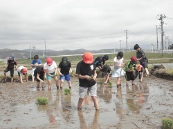 DSC04190.JPGの画像