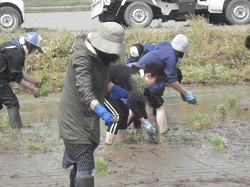 DSC04196.JPGの画像