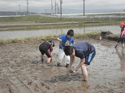 DSC04201.JPGの画像