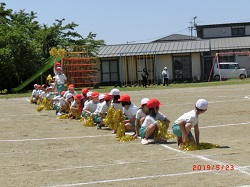 souensyu8.JPGの画像