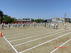 sourensyu1.jpgの画像