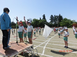 sourensyu2.JPGの画像