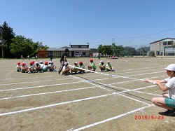 sourensyu6.JPGの画像