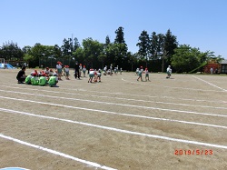 sourensyu7.JPGの画像