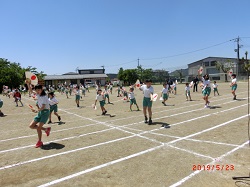 sourensyu9.JPGの画像