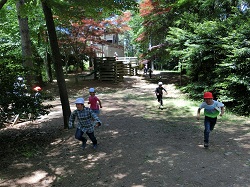 ensokutei6.JPGの画像