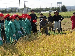 19inekari1.JPGの画像