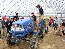 19negi1.JPGの画像