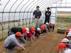 19negi2.JPGの画像