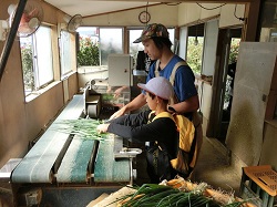 19negi6.JPGの画像