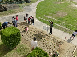 19panji2.JPGの画像