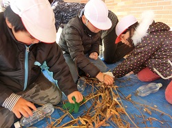 19mamebuti2.JPGの画像