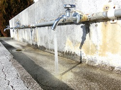 19saru1nen1.JPGの画像