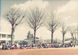 19sarulast3.jpgの画像