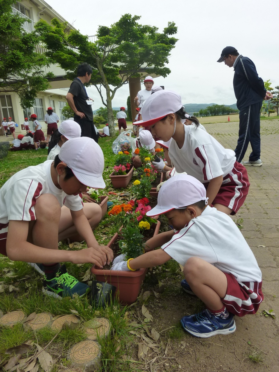 P1100980-2.jpgの画像