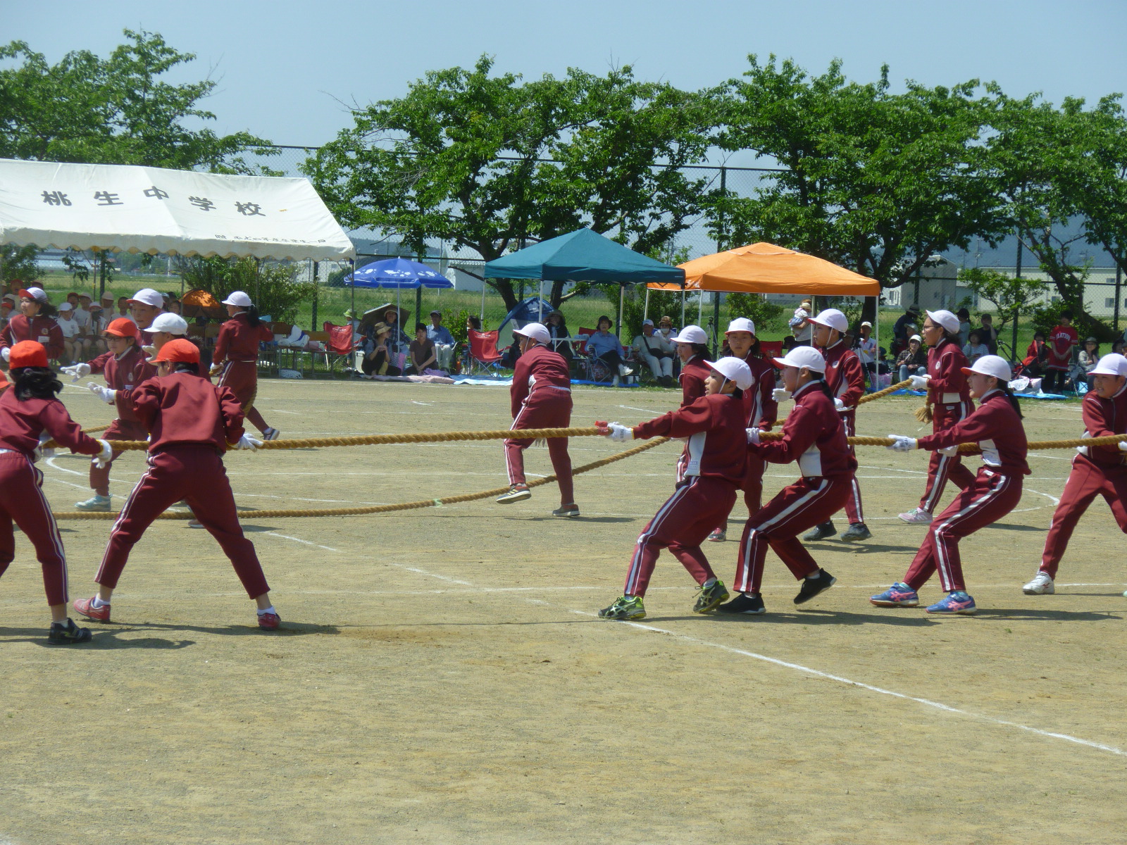 P1150134.JPGの画像