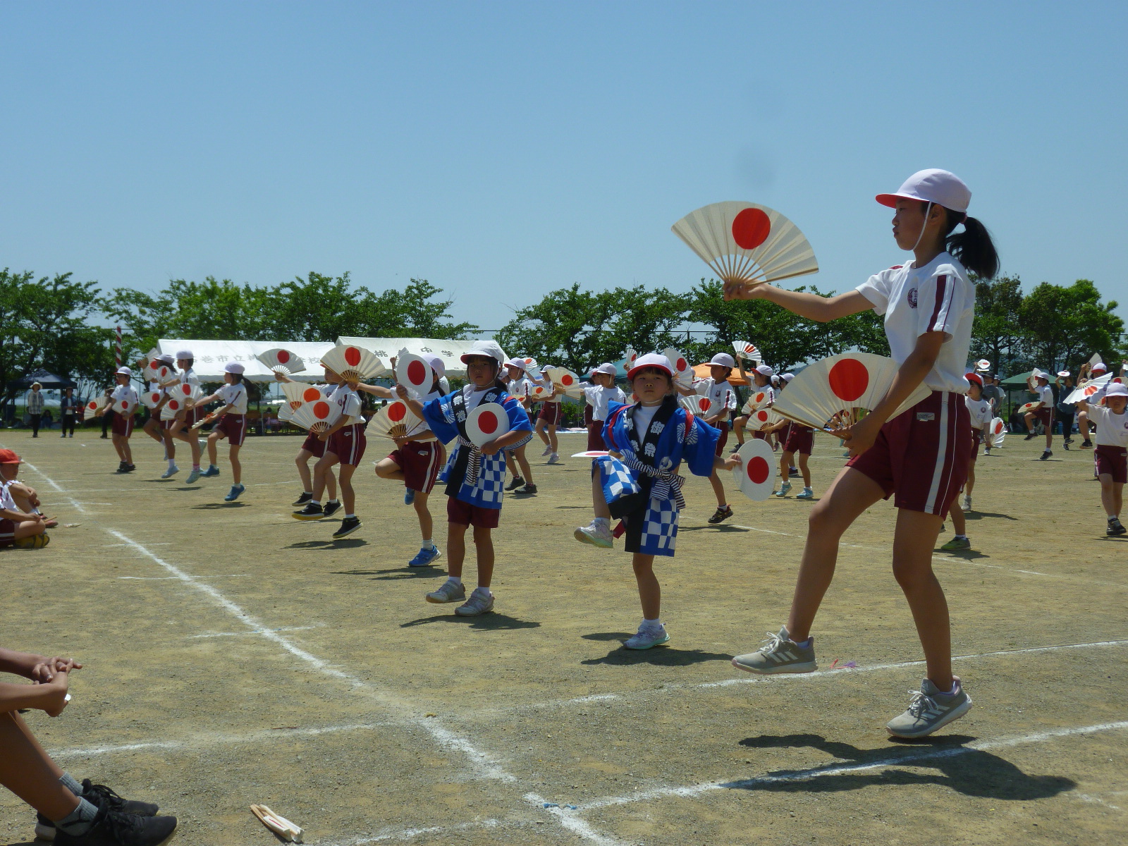 P1150274.JPGの画像