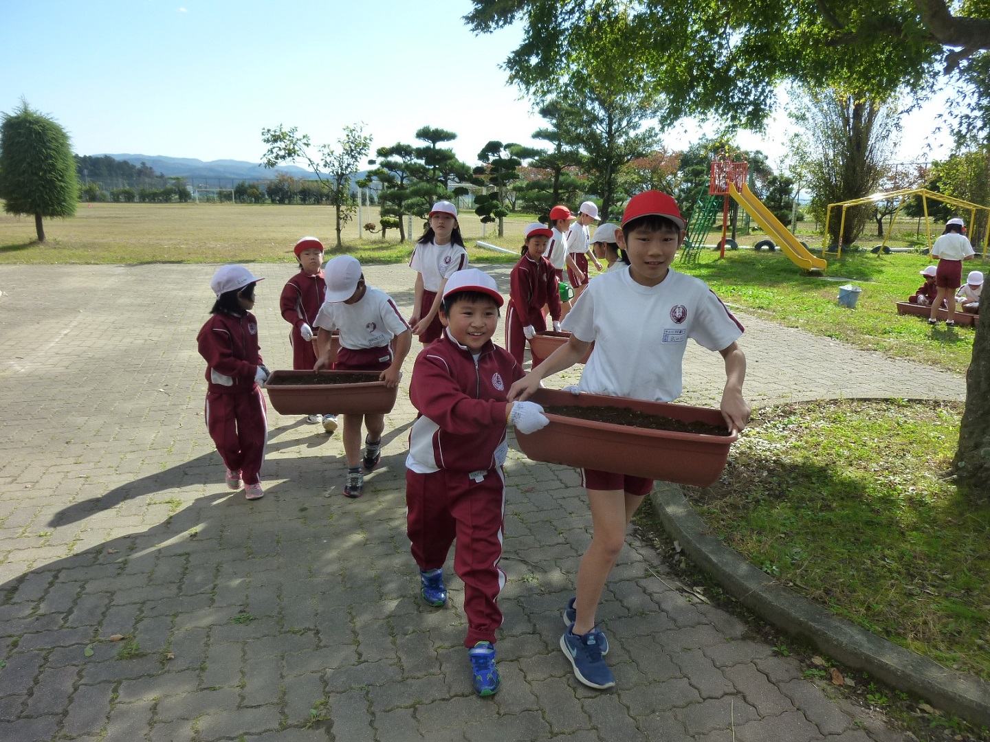 P1130663.JPGの画像