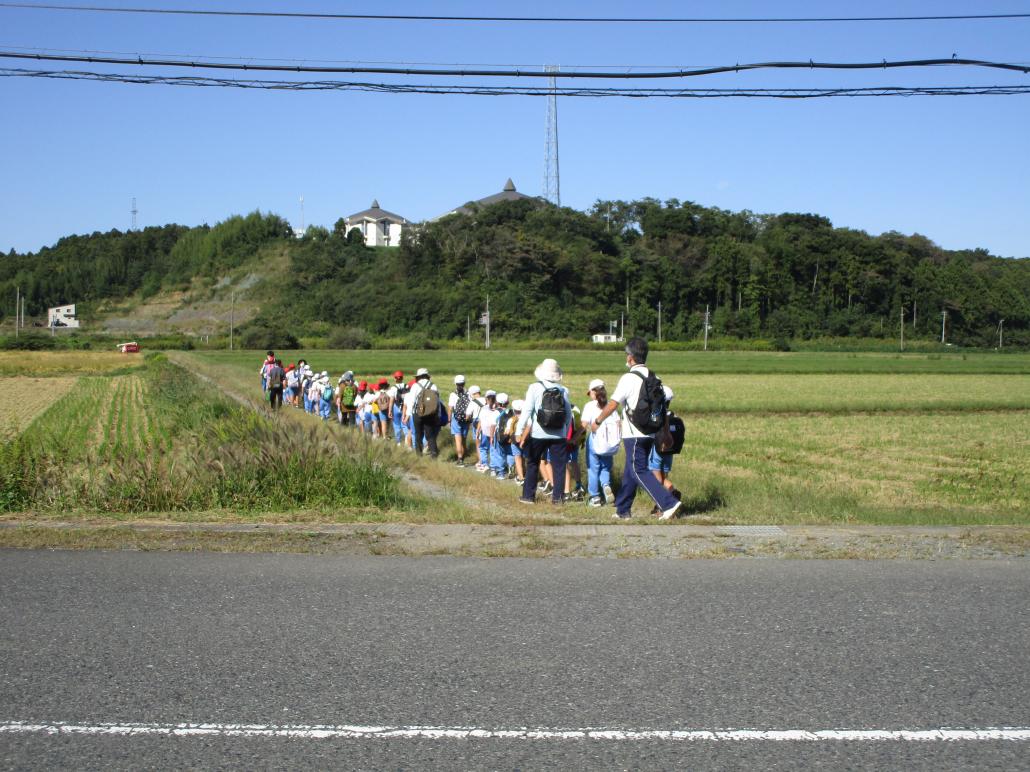 の画像