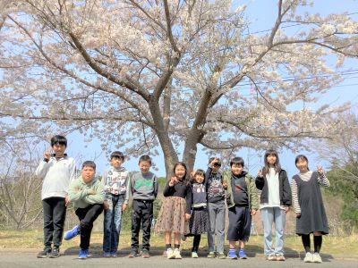 20250418　桜の木の前で