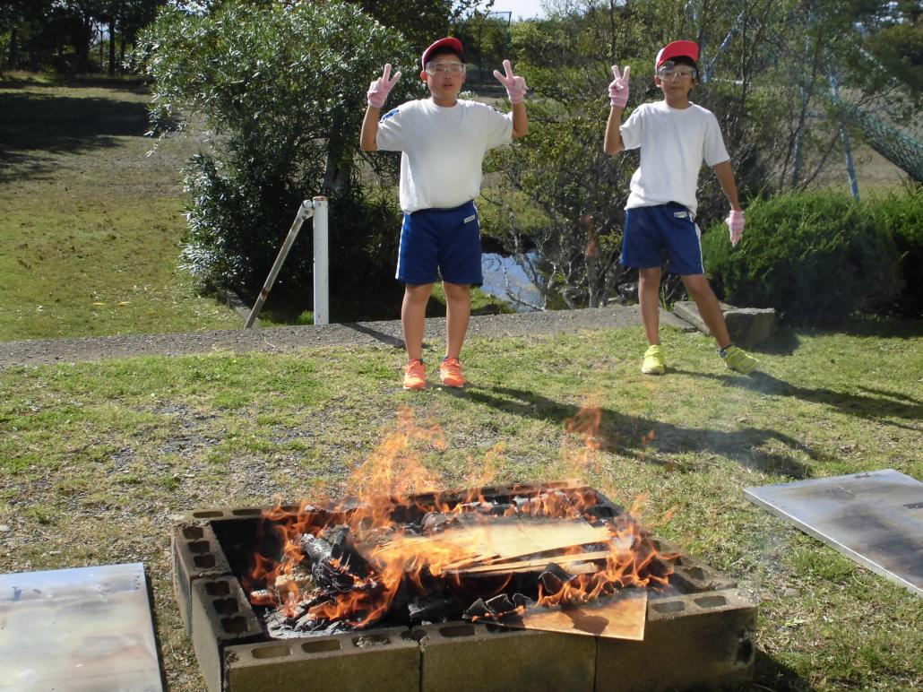 の画像