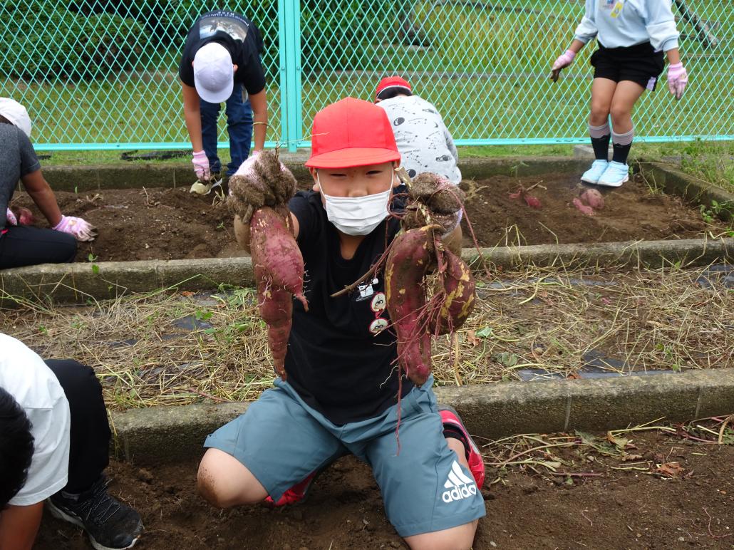 の画像