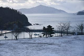 0129lunch3.jpg
