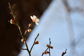 0228end2.jpg