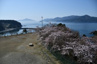 0412rika8.jpg