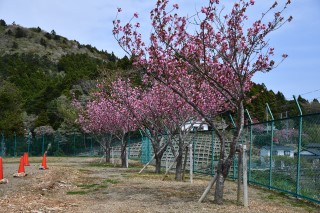 0427test14.jpg