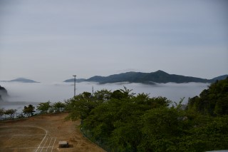 0512fog2.jpg