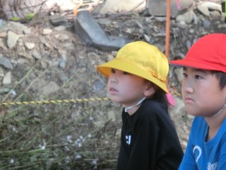 CIMG5120_1104.jpg