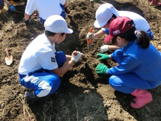 CIMG5144_1203.jpg