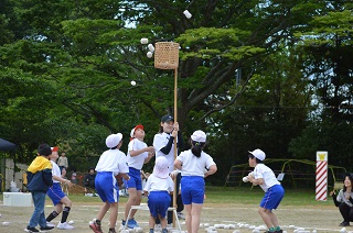 DSC_0101.JPG