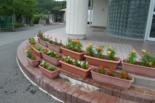 DSC_0567_97.jpg