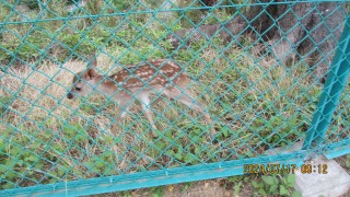 IMG_3954_151.jpg