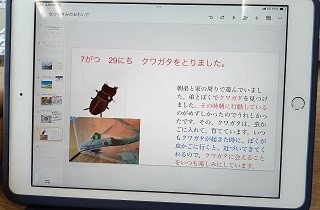 KIMG20240826_09275.JPG