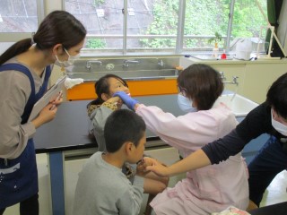 0607ha8.jpg