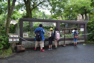 0610zoo12.jpg