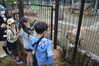 0610zoo22.jpg