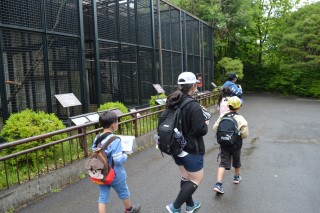 0610zoo9.jpg