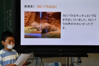 0620zoo3.jpg