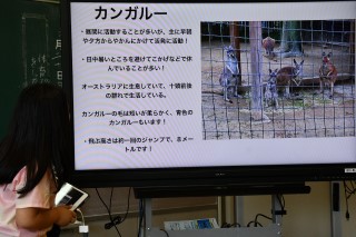 0620zoo8.jpg