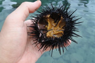 0705sea10-4.jpg