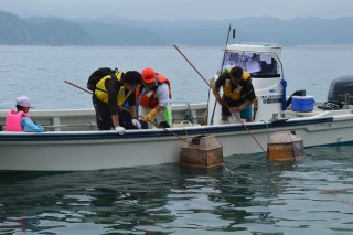 0705sea10.jpg