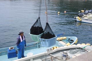0705sea16.jpg