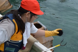 0705sea7.jpg