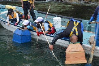 0705sea9.jpg