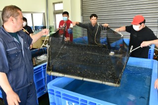 0708fish10.jpg