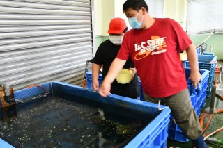 0708fish2.jpg